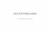 1-les epitheliums