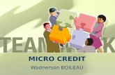 Micro Credit -Formation