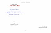 A Fleur De l'Âme - Christian Guillain