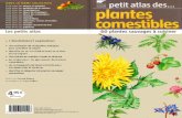 Petit atlas des plantes comestibles