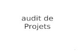 DOc Diapos Audit Des Projets (2)