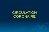 5 Circulation Coronaire