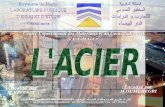 Acier LPEE-Bis2-