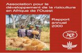 AfricaRice Rapport annuel 2000