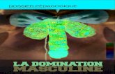 La Domination Masculine (Dossier Pédagogique)