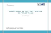 Rapport Activite Definitif