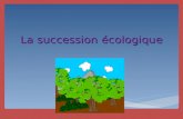 La succession écologique