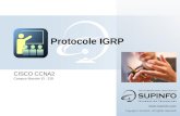 FR - Module 08 - Protocole IGRP