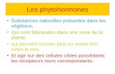9. Les Phytohormones