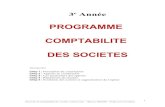 Programme Comptabilite Des Societes