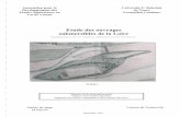 Etude des Ouvrages submersibles de la Loire Tome I