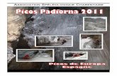 Rapport PiCos 2011