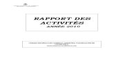 Rapport Activite 2010