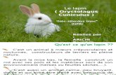 Lapin ( lapin néo-zélandais blanc) NZB