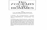 Claude Torossian - Des Fourmis Et Des Hommes 1983