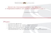 « Droit du consommateur au Maroc réglementation et cadre institutionnel »