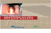 2009-11-25 Unionbois Reaction Au Feu Des Bois Massifs