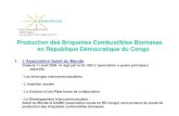 Production Des Briquettes Combustibles Biomasse en RDC