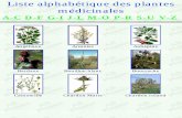 Guide Des Plantes Medicinales 2