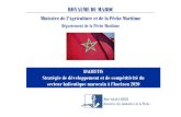 HALIEUTIS Stratégie de développement et de compétitivité du secteur halieutique marocain à l’horizon 2020