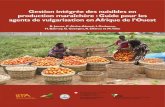Gestion intégrée des nuisibles en production maraîchère : Guide pour les agents de vulgarisation en Afrique de l’Ouest