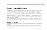 Audit Marketing