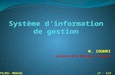 Systèmes d_information de gestion -I- LP GIO 2013