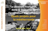 La diversité française, dans le domaine de  l’innovation scientifique : Quels projets pour  la méditerranée ?