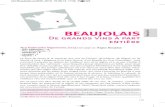 Top Beaujolais : Guide Dussert-gerber Des Vins 2013