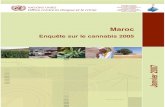 Morocco cannabis survey 2005