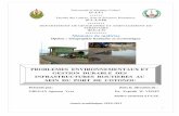 Problemes Environnementaux et Gestion Durable des Infrastructures Routieres au Sein du Port de Cotonou