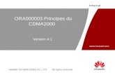 French ORA000003 CDMA2000 Principle WLL ISSUE4.1.ppt
