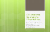 Le Syndrome Neurogène Périphérique green