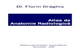 CARTE ATLAS radio-anatomie .pdf