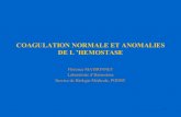Coagulation Normale Et Anomalies de l'Hemostase