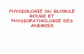 24. physiologie du globule rouge et physiopathologie des anémies