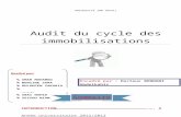 Audit Du Cycle Des Immobilisations -Rapport