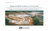 Biodépollution. Gestion des sites et sols dégradés avec des microorganismes