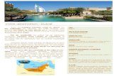 Programme voyage Dubai