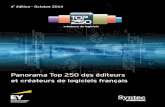 Panorama Top250 EY SYNTEC Software 2014