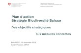 Stratégie Biodiversité Suisse – le plan d’action prend forme