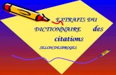 Dictionnaire comique (1)