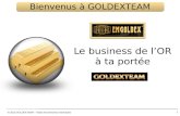 Presentation Emgoldex-Goldxteam 2014(Français)