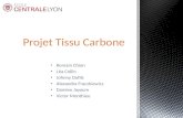 Présentation Projet Tissu Carbone
