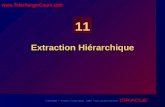 Extraction Hiérarchique | Cours sql oracle
