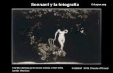 Bonnard y la fotografía