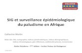 SIG et surveillance épidémiologique du paludisme en Afrique