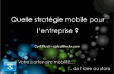 Petit-déjeuner Mobilité 2011 - strategie mobile