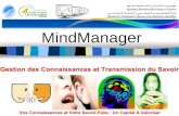 Mind manager