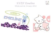 Evjf_Emeline_14 mars